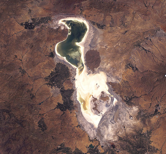 Original Image