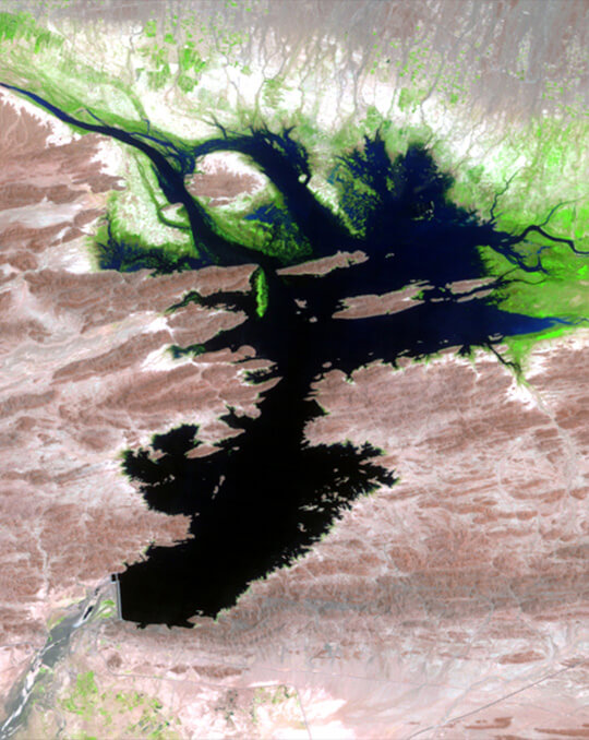 Original Image